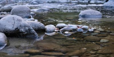 Руководство по техническому ремонту японских иномарок: всё, что вам нужно знать!